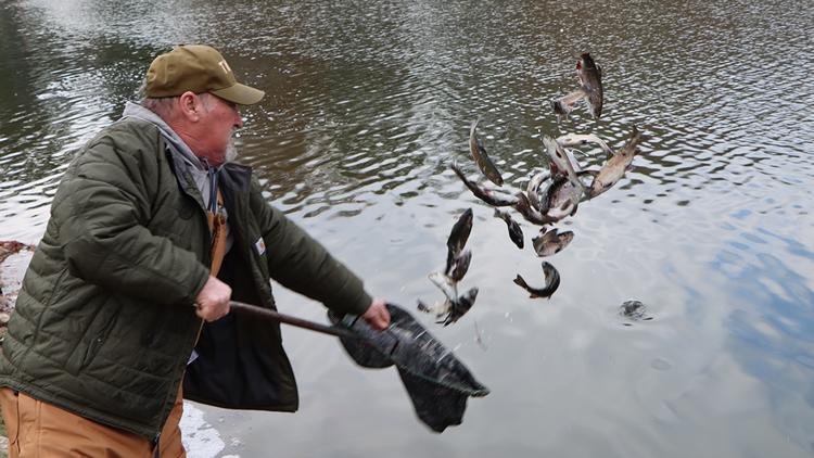 TWRA begins rainbow trout winter stocking program for 2024-2025