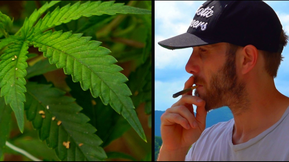 Legalized High: Hemp farmer continues sale of legal THC products - Vimarsana News