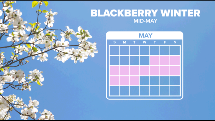 Blackberry Winter brings chilly temperatures to East Tennessee and patchy frost to Southeast Kentucky