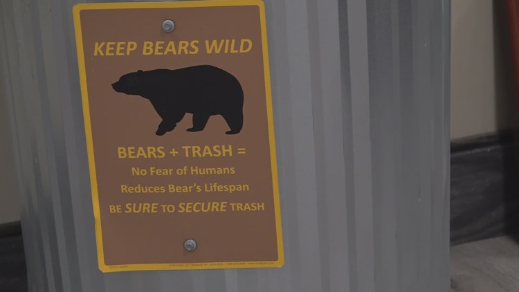 Gatlinburg leaders spending millions to keep bears and people safe, preventing them from interacting with each other