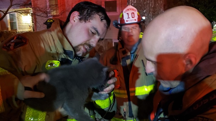 Rural Metro Fire rescue cat and dog in West Knoxville house fire