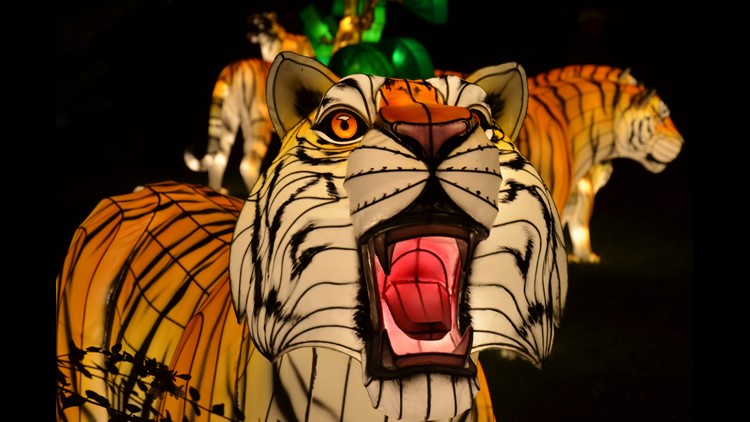 Zoo Knoxville lights up for the holidays starting Friday