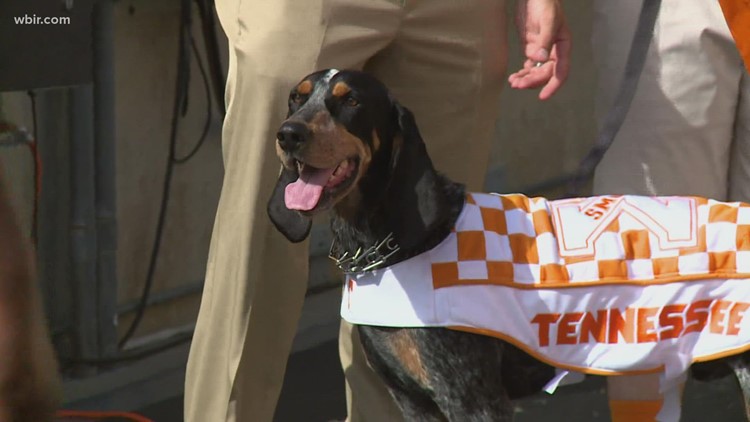 Smokey wins first place in semifinals for national mascot competition