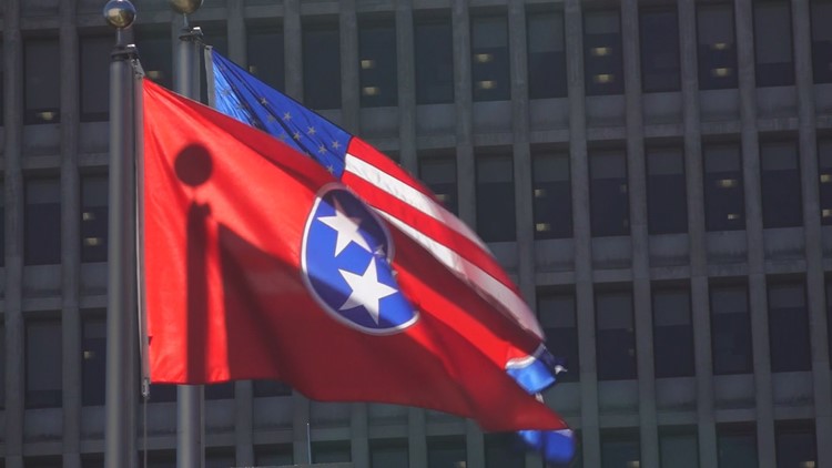 Abortion, guns and taxes | What happened during the 2024 Tennessee General Assembly?