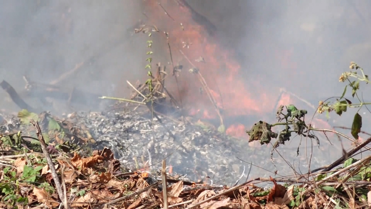 Burn permits required this fall to burn debris like leaves and sticks