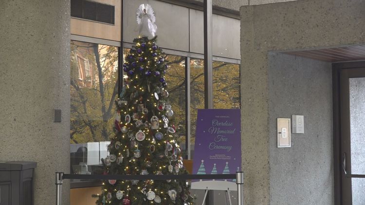 Annual Overdose Memorial Tree honors lives lost to overdoses in Knox County