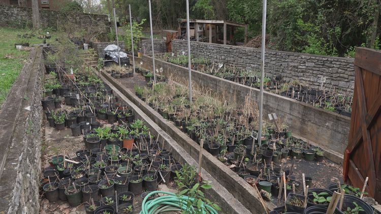 Knoxville Botanical Garden, Birdhouse Neighborhood Center to receive property improvements