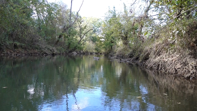 Knox County in process of removing Coward Mill Dam, stabilizing Beaver Creek bank