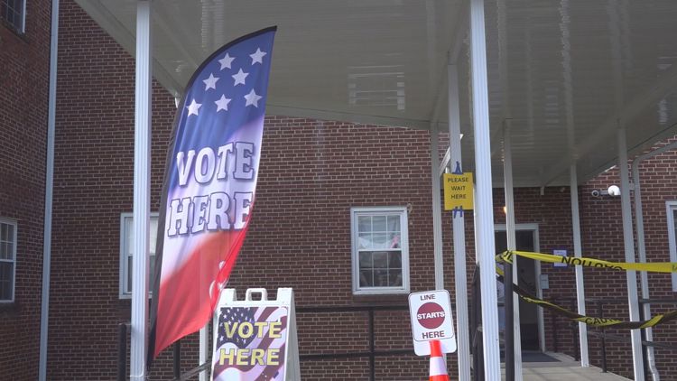 Liberian-born woman becomes US citizen and helps other Americans exercise their voting rights