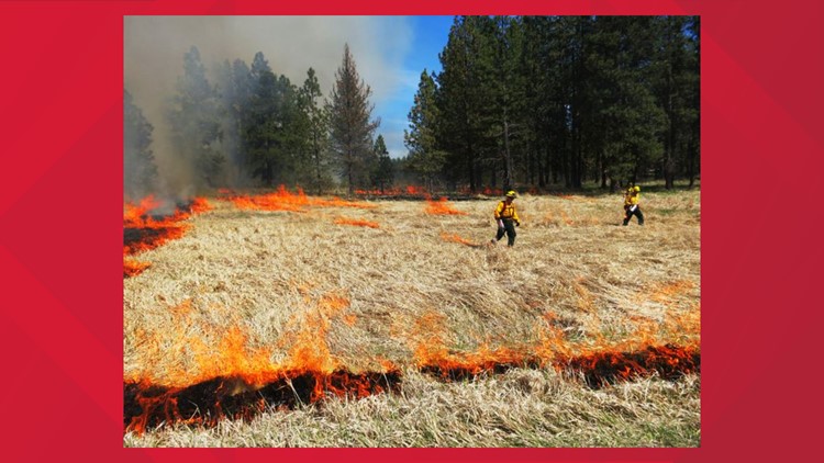 Prescribed fire planned in Cocke County near Hot Springs, North Carolina
