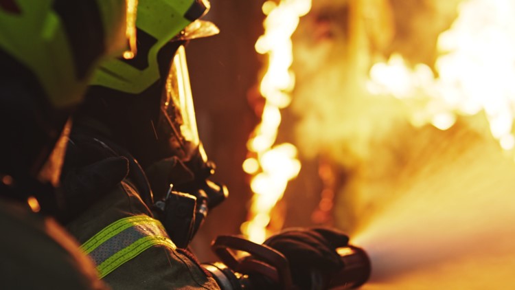 HCSO: Woman dead after house fire in Bulls Gap