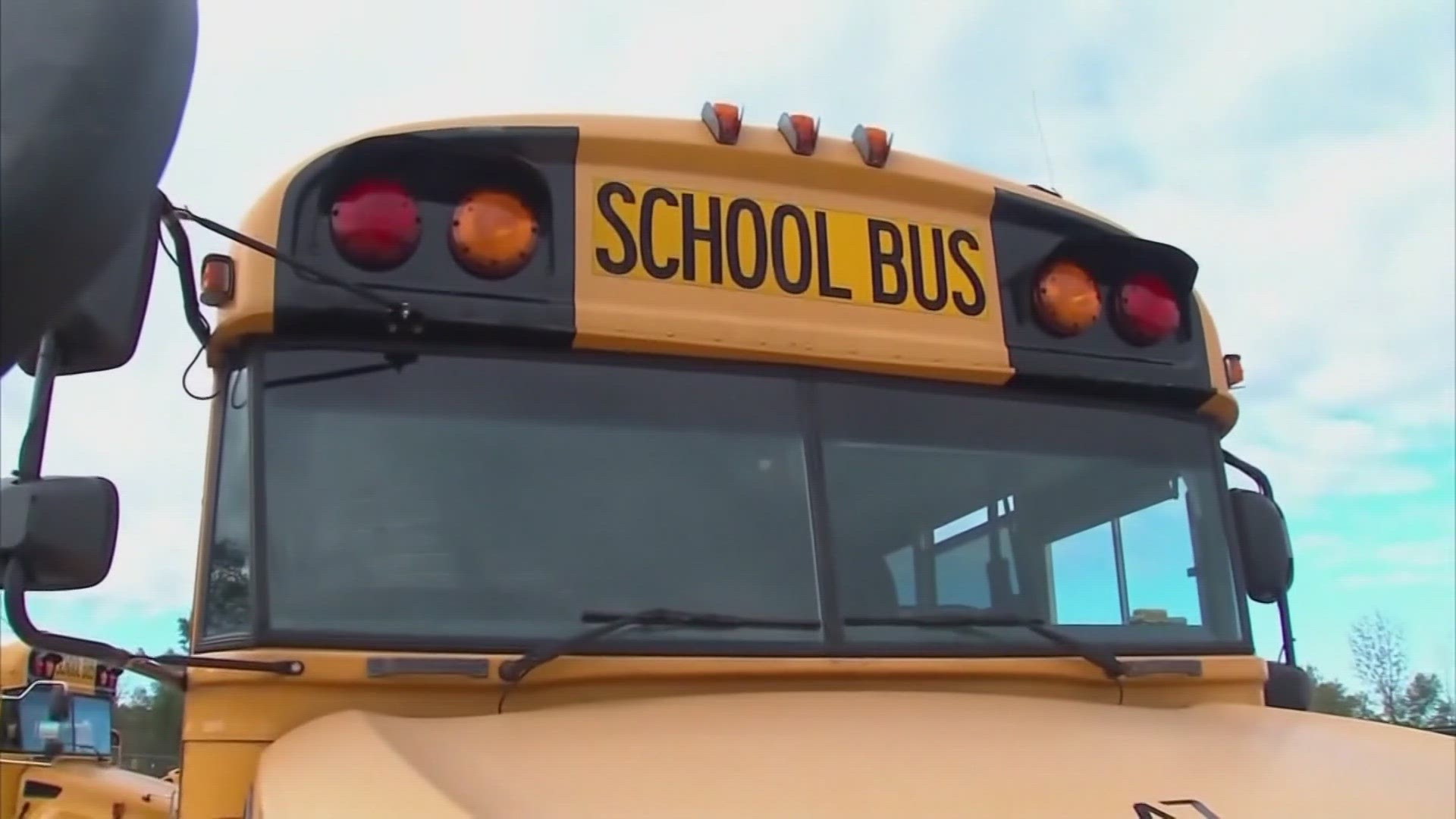 The group was made after an 11-year-old boy was killed and 23 others were injured in a Clark County school bus crash last August.