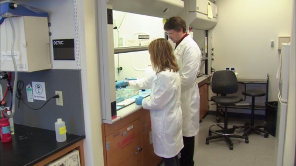 Spinal Cord Injury Research At Ohio State Provides New Hope For Patients 10tv Spinal Cord Injury Research At Ohio State Provides New Hope For Patients 10tv