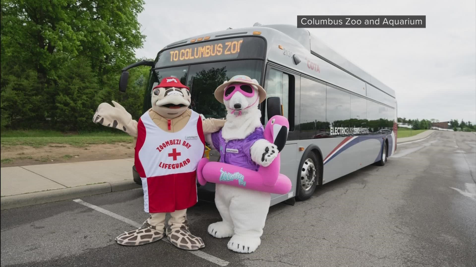 Zoo Bus returns for the summer season this Memorial Day weekend, COTA announced Thursday.