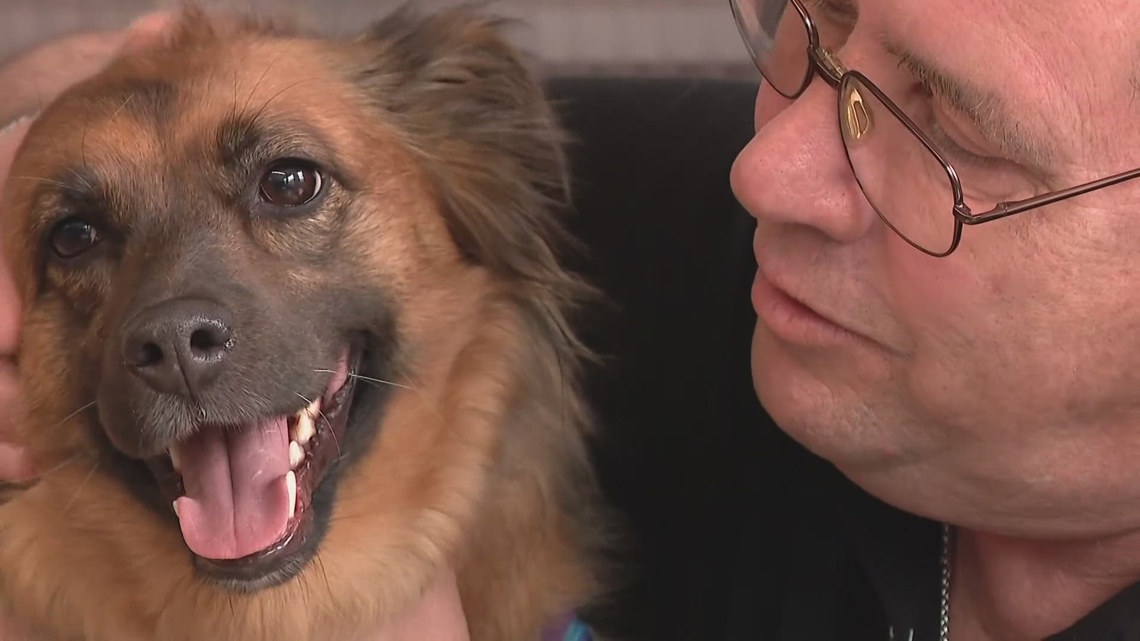Veteran finds hope through rescue dog with help from Delaware County nonprofit