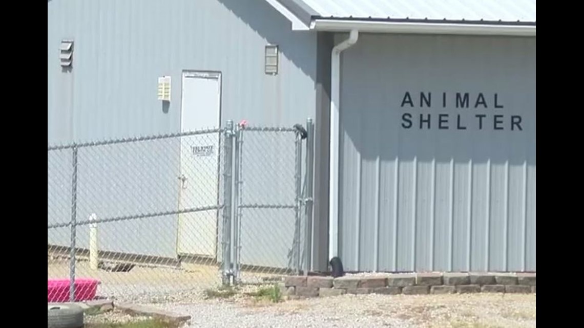 Indiana animal shelter accused of freezing kittens to death