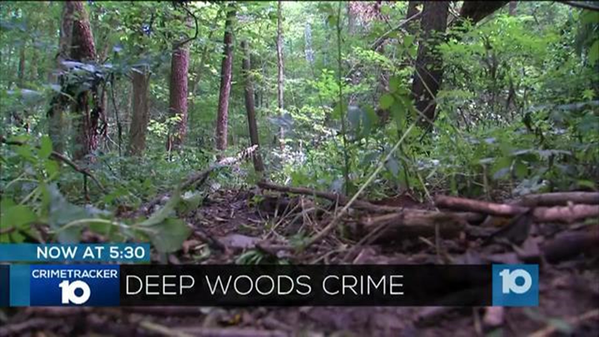 Timber theft on the rise in central Ohio