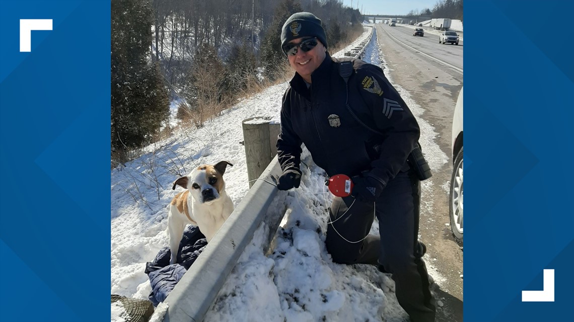 Ohio State Highway Patrol officer uses his lunch to rescue stray dog from traffic - Vimarsana News