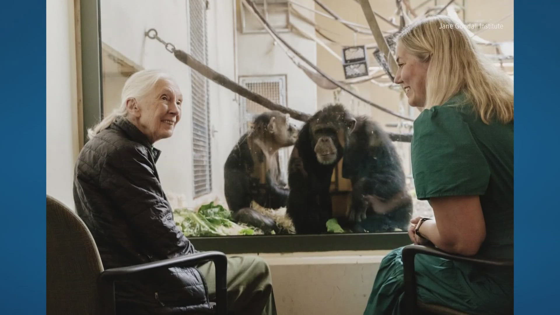 Jane Good Rip Jane Goodall, the celebrated primatologist and conservationist, has ...