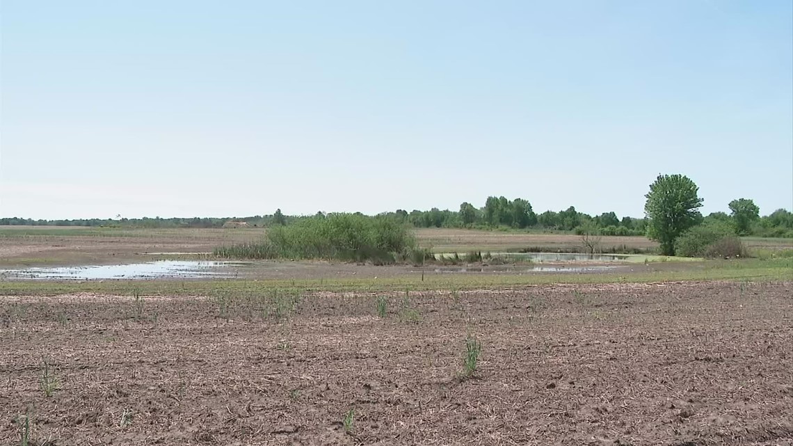 Licking County neighbors raise questions about wetlands ahead of Intel factory - Vimarsana News