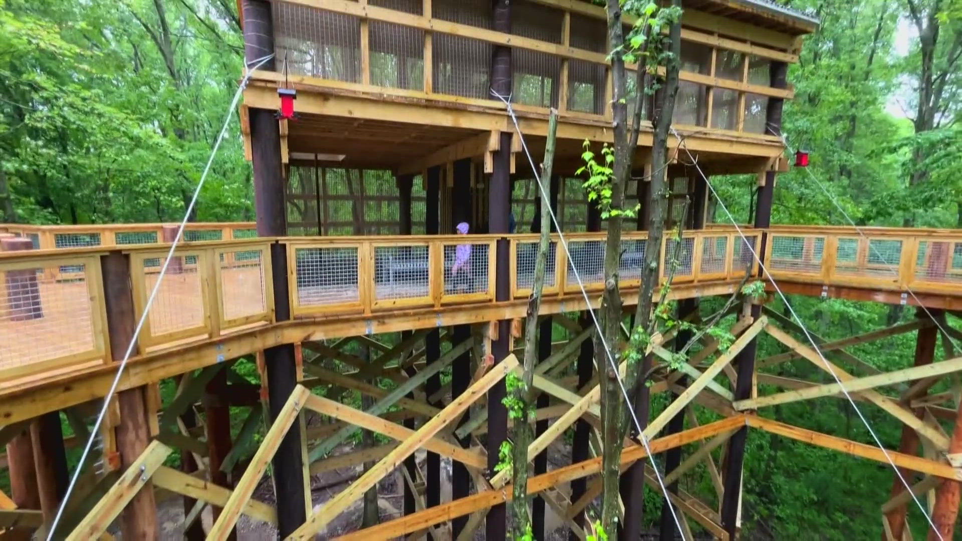 Blacklick Woods Metro Park opens canopy walk | 10tv.com