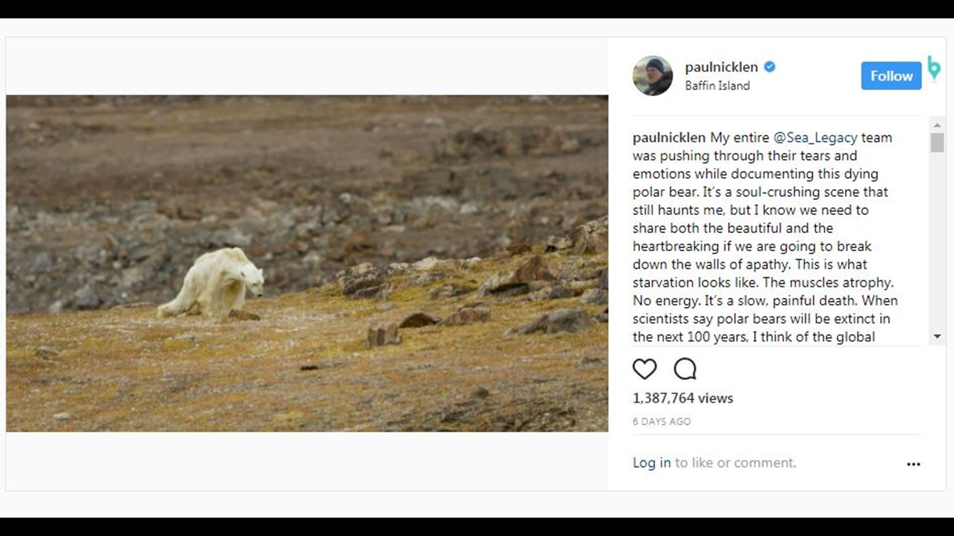 Photographer shares "soulcrushing" video of dying polar bear