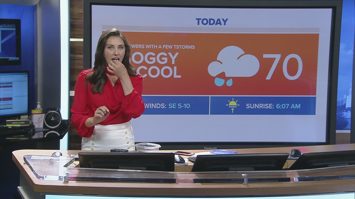 10tv Meteorologist Mackenzie Bart Eats A Chocolate Covered Cicada