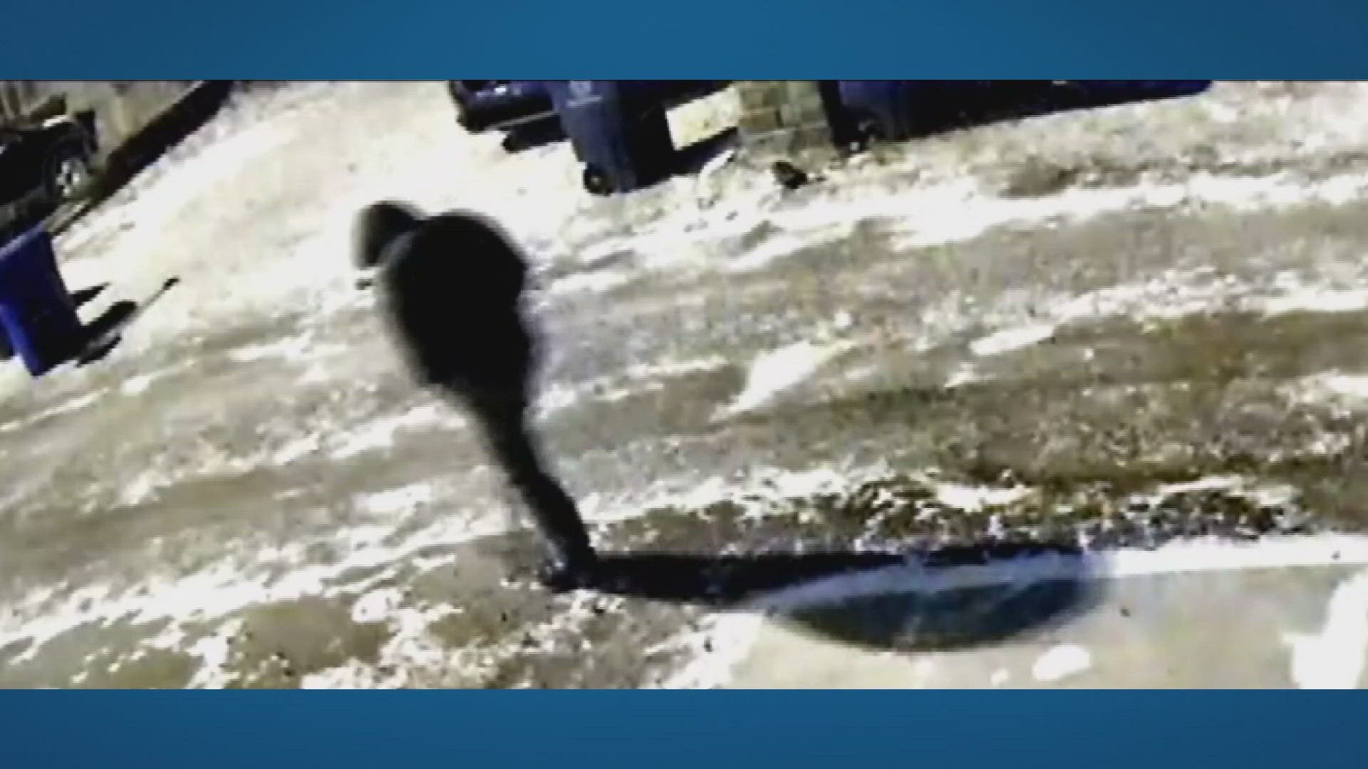 New video shows person of interest in fatal shootings of Weinland Park  couple