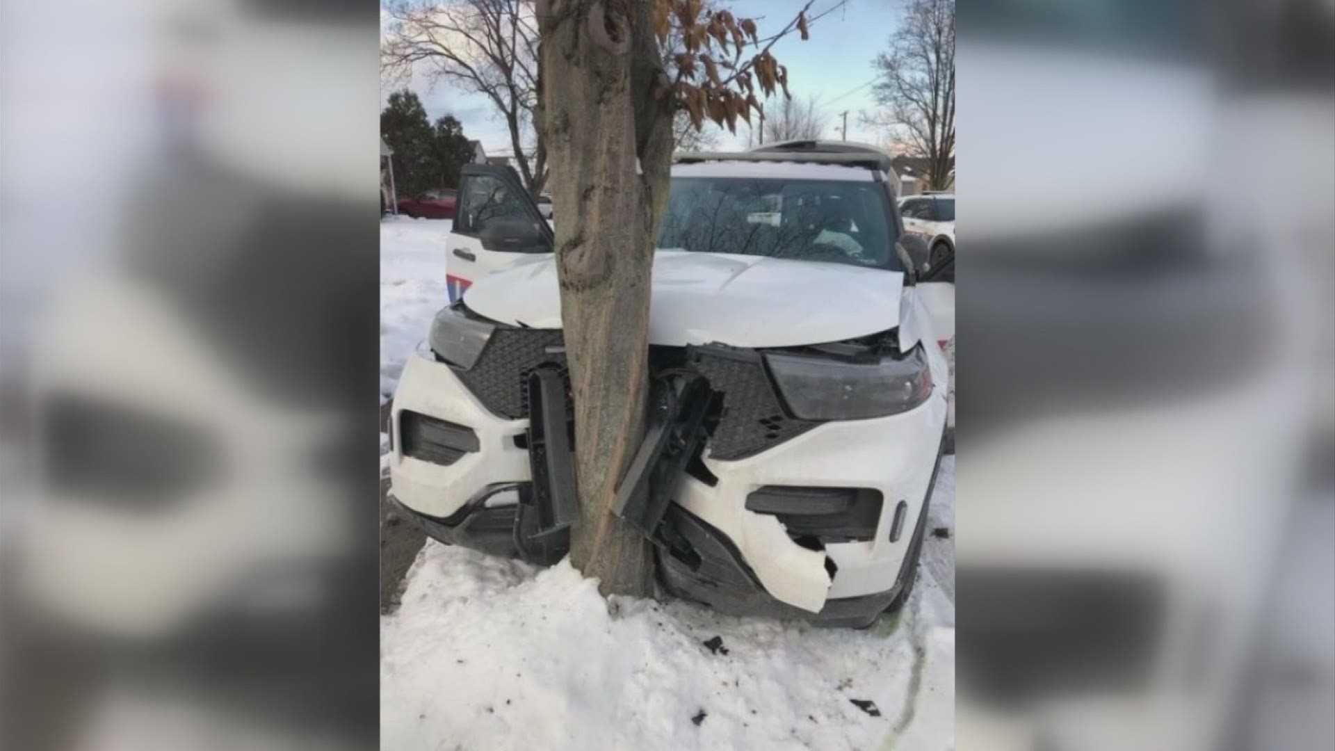Police say two officers had joined in a search for a stolen car, and several suspects inside, when one of the officers slammed the cruiser into a tree.