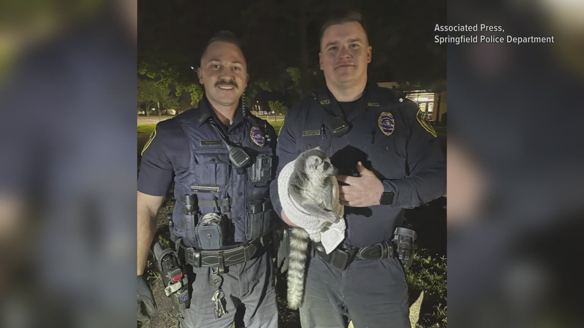 Bodycam video shows the two officers' attempts to nab the speedy little primate, which made a dash for freedom Tuesday in Springfield, Missouri.