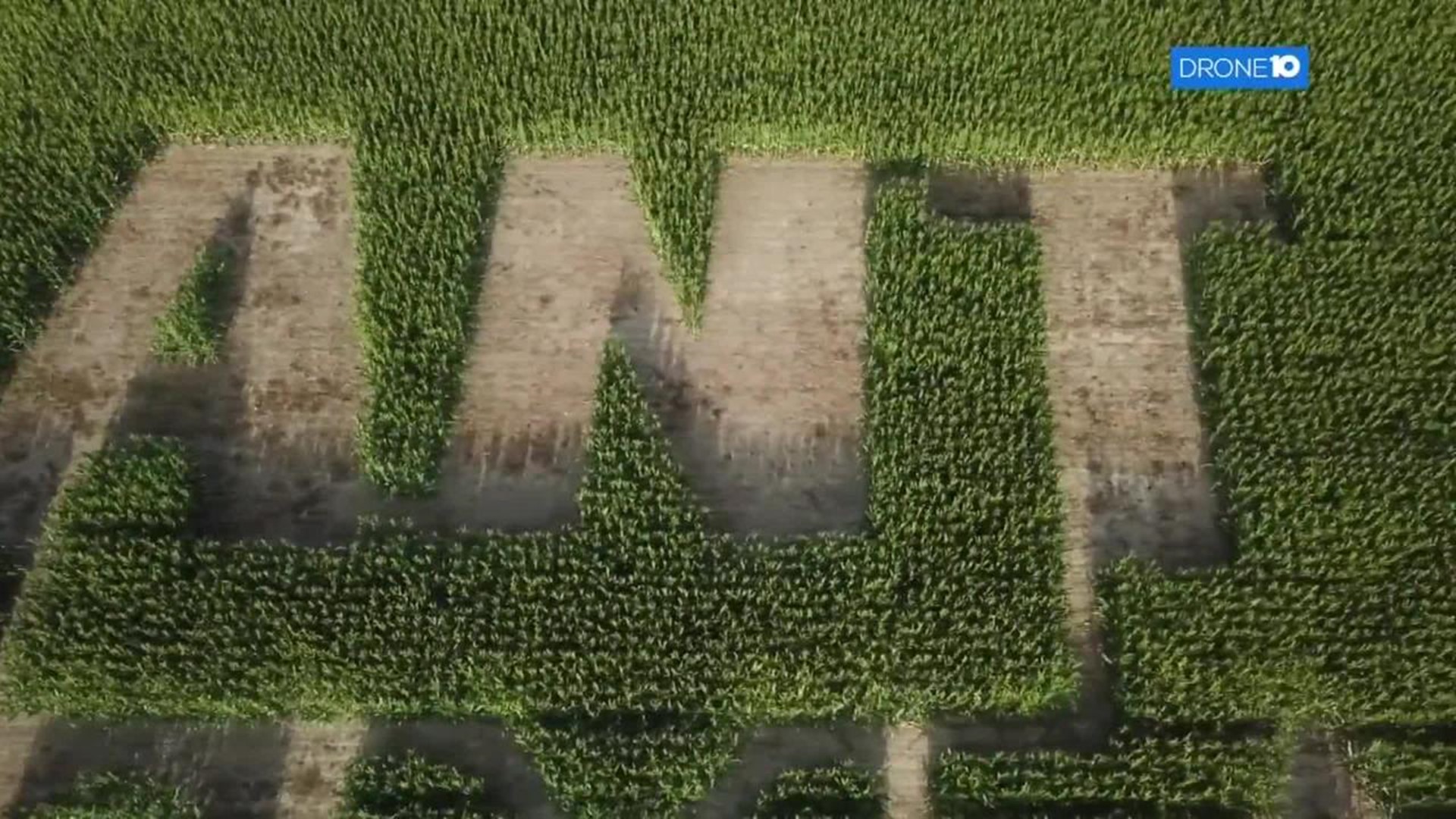 Drone 10: Corn maze in Union County