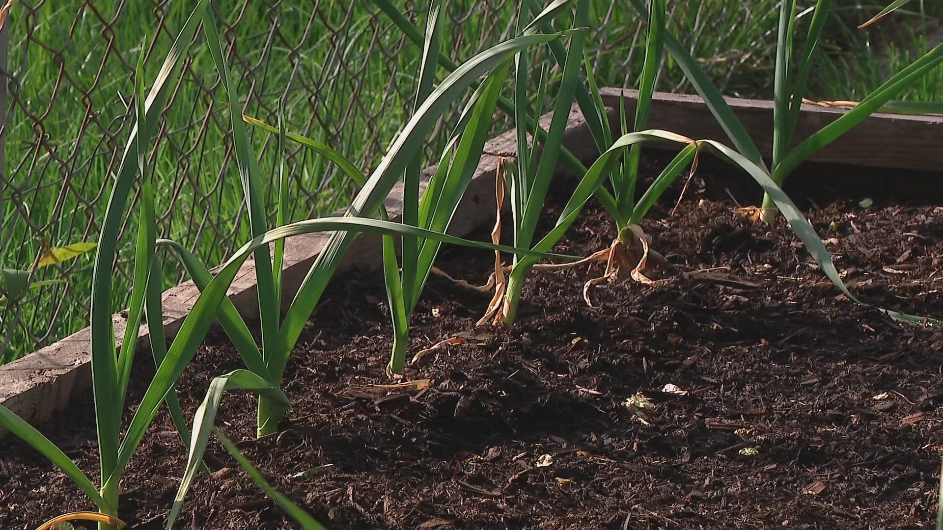 This Earth Day, you can make a difference in your home and community by picking up composting.
