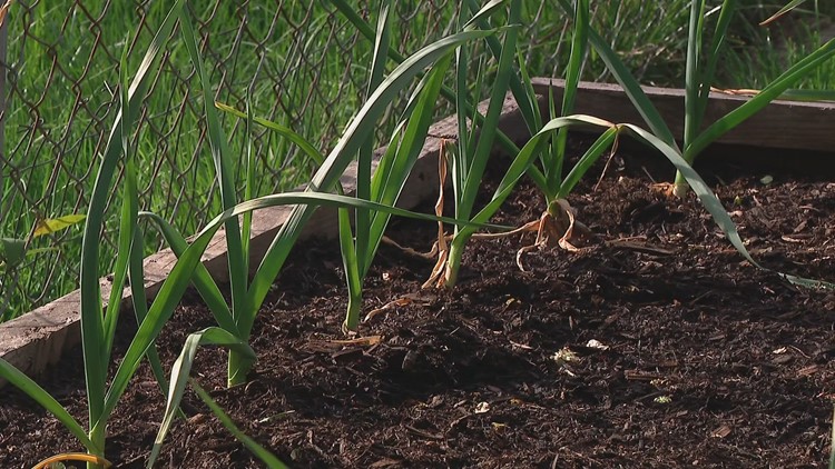 Interested in composting? Here's how you can get started