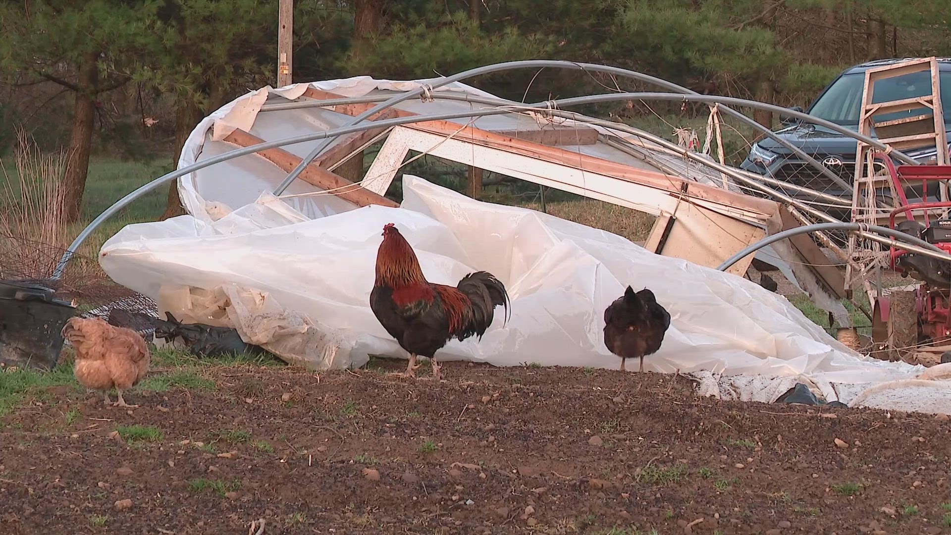 The farm delivers fresh produce in the summer once a week to customers in the Columbus area.