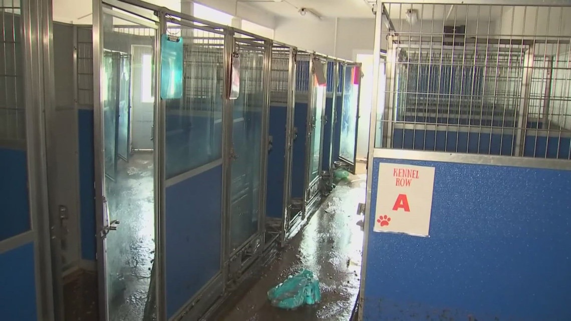 Brewing Locally Image