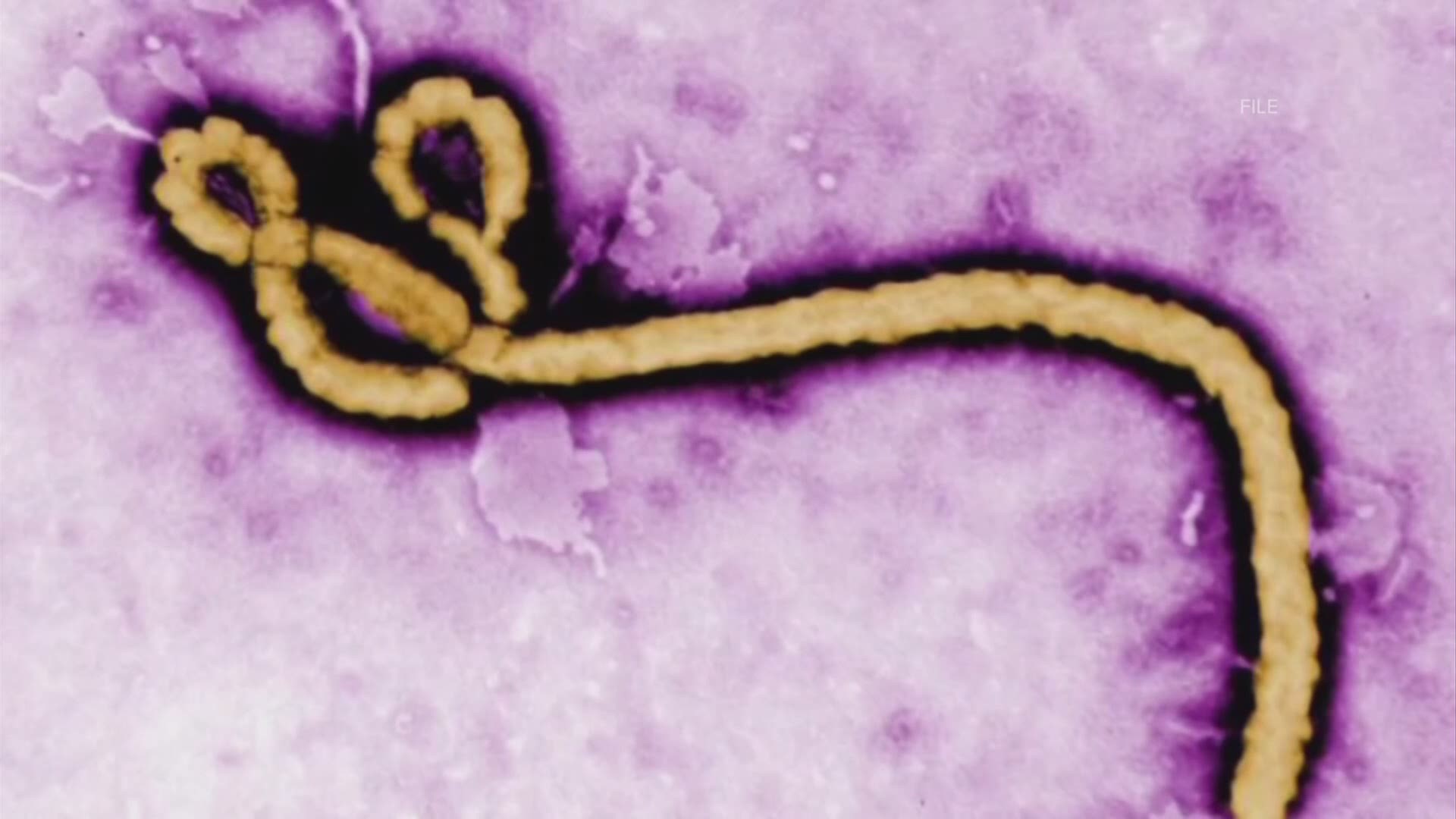 Ebola is emerging again in Central and West Africa. Should we be concerned? An OSU expert says not to panic.