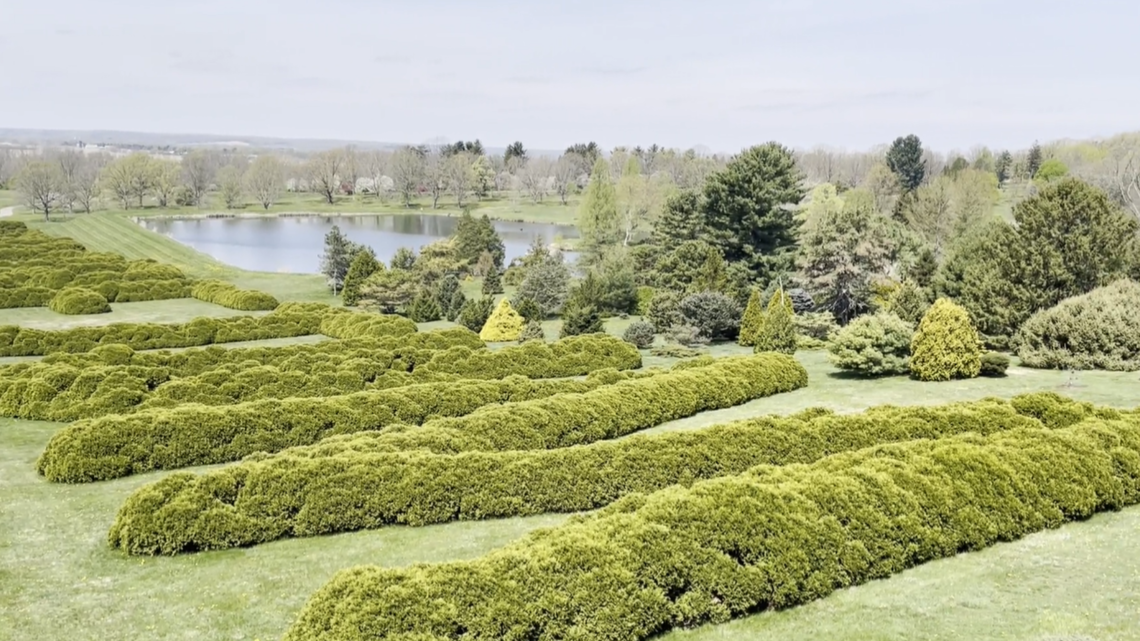The Dawes Arboretum celebrates Earth Day with free admission and tree giveaway - Vimarsana News