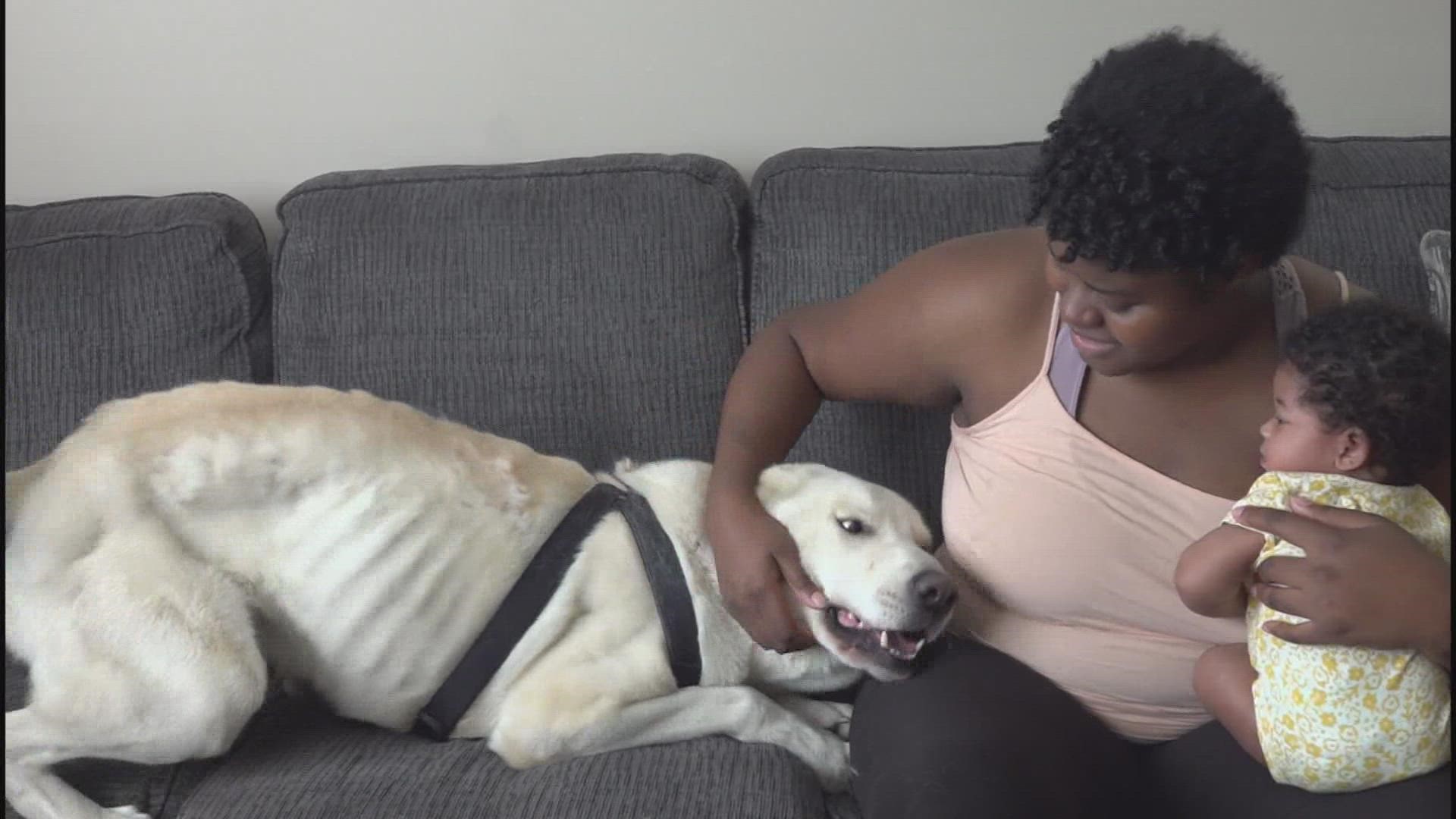 Chekia Cermack was reunited with her lost dog after three years thanks to a microchip from the Franklin County Dog Shelter.