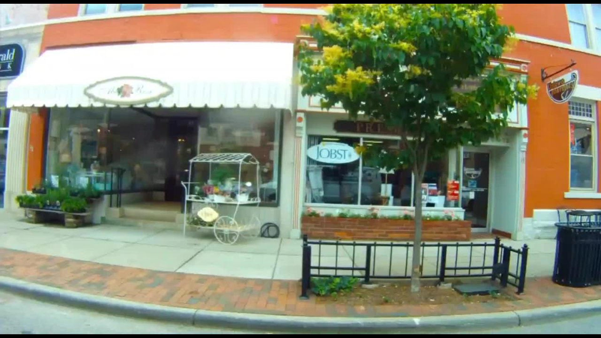 Marengo Sanctuary Gives Horses Second Chance