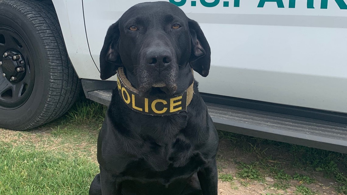 National Park Service celebrates retirement of K-9 officer 'Boomer ...