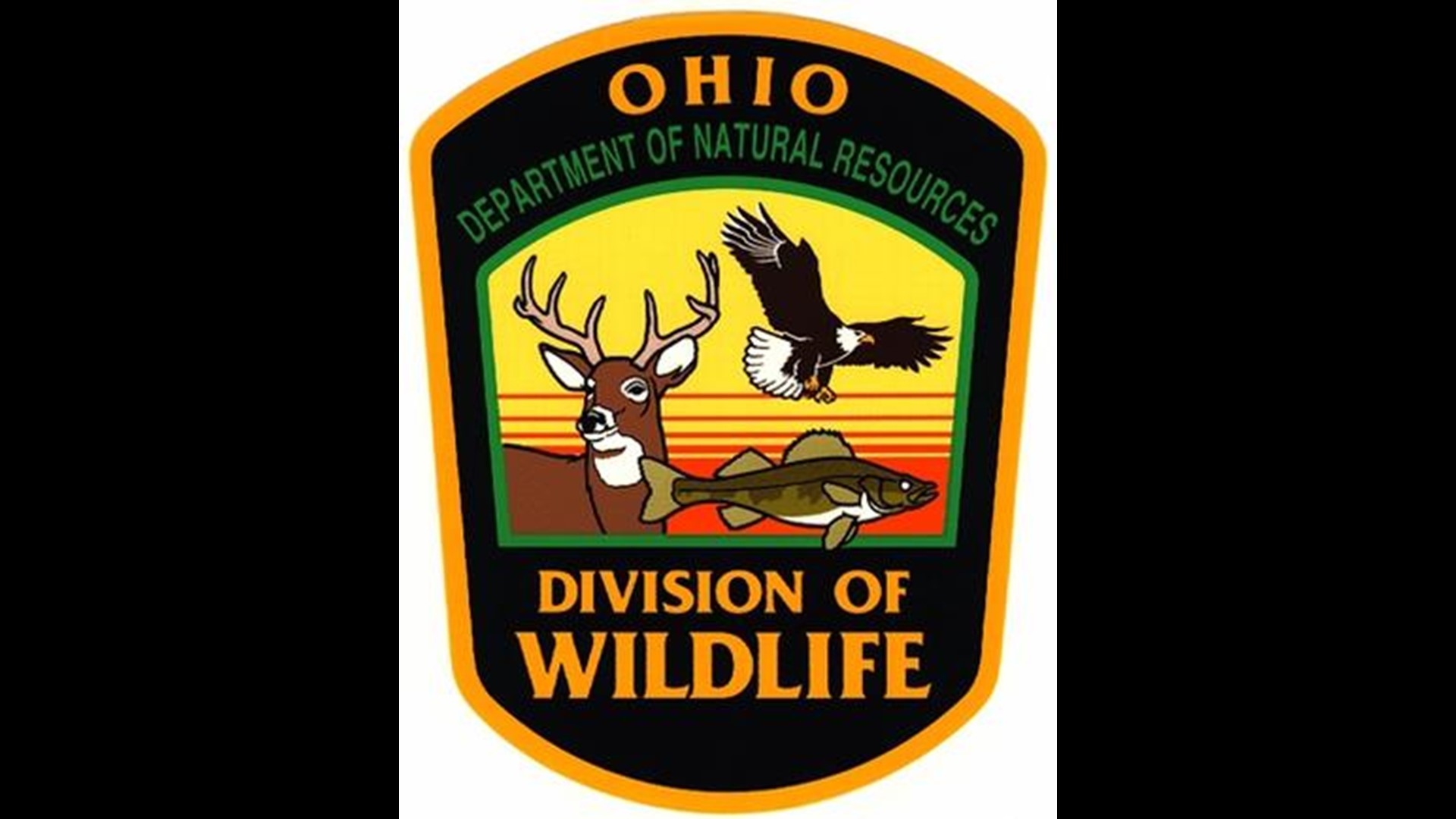Ohio Hunting, Fishing Licenses About To Go On Sale