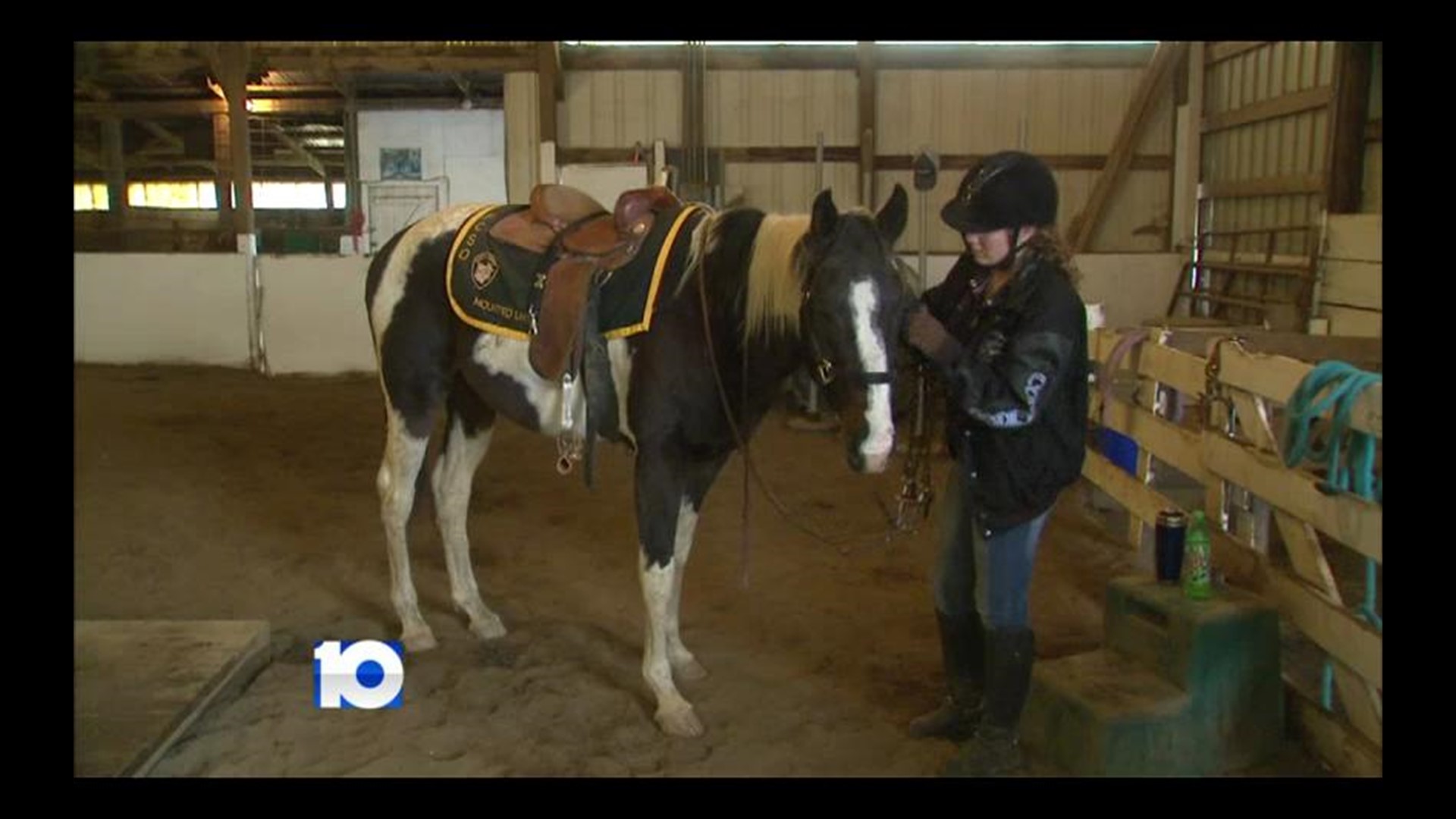 Newest Member Of Franklin County Sheriff’s Mounted Patrol Unit Saved By Corporal After Being Abused