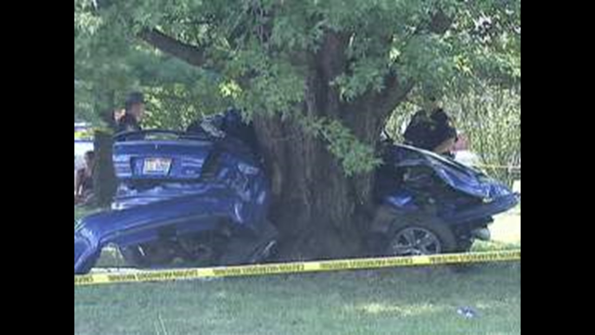 Man Dies After Crashing Car Into Tree 