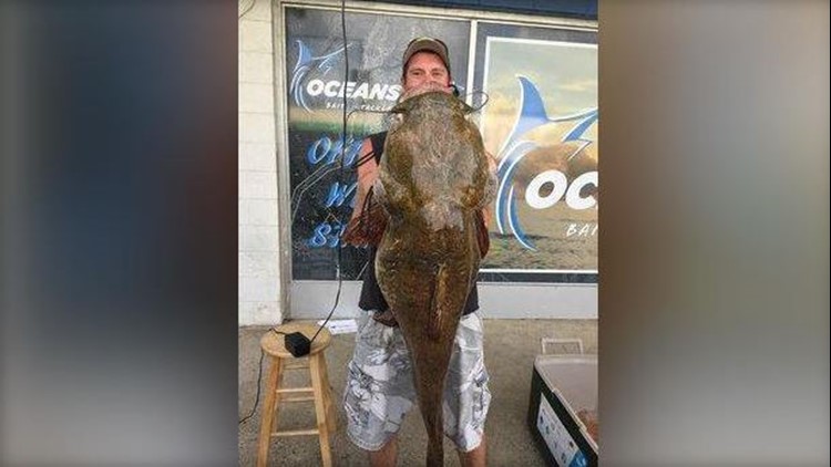 Monster catfish reeled in on $20 Walmart fishing rod
