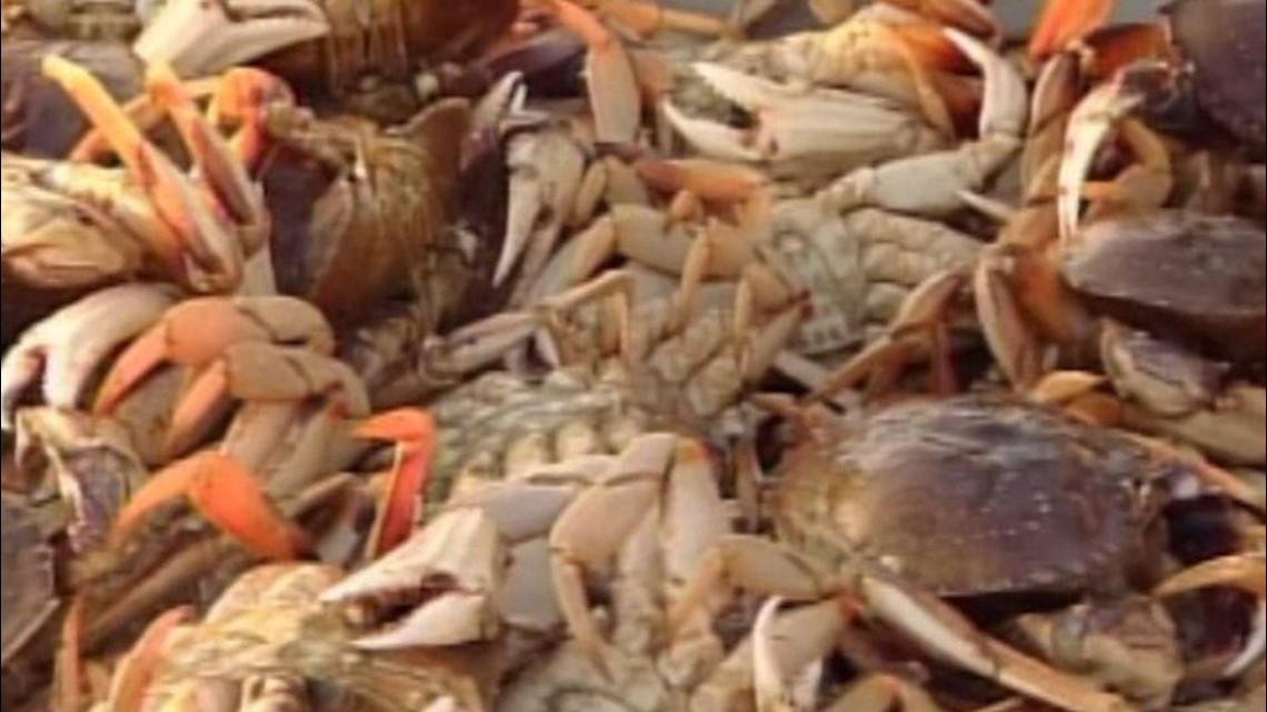 Vibrio outbreak linked to crab meat imported from Venezuela