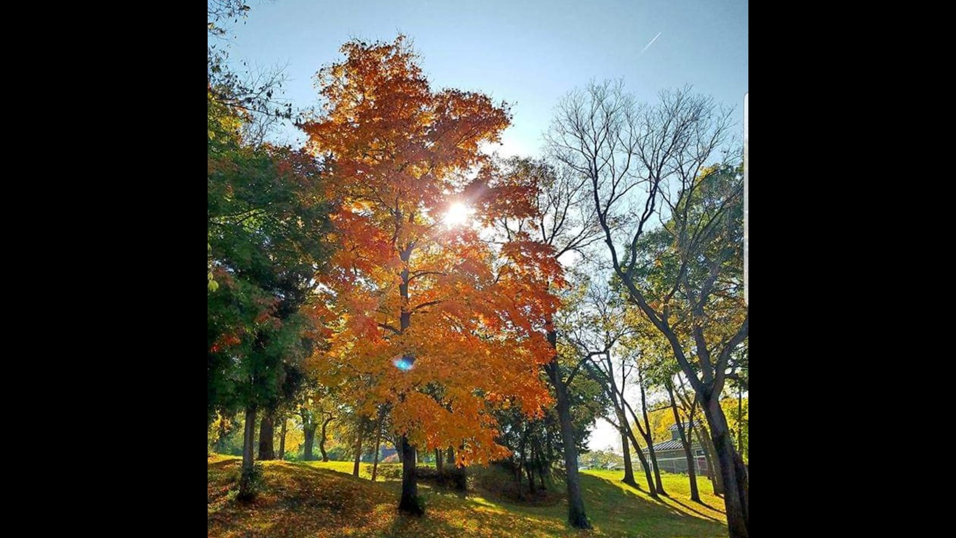 Fall Foliage Report: Colors starting to change more in central Ohio ...