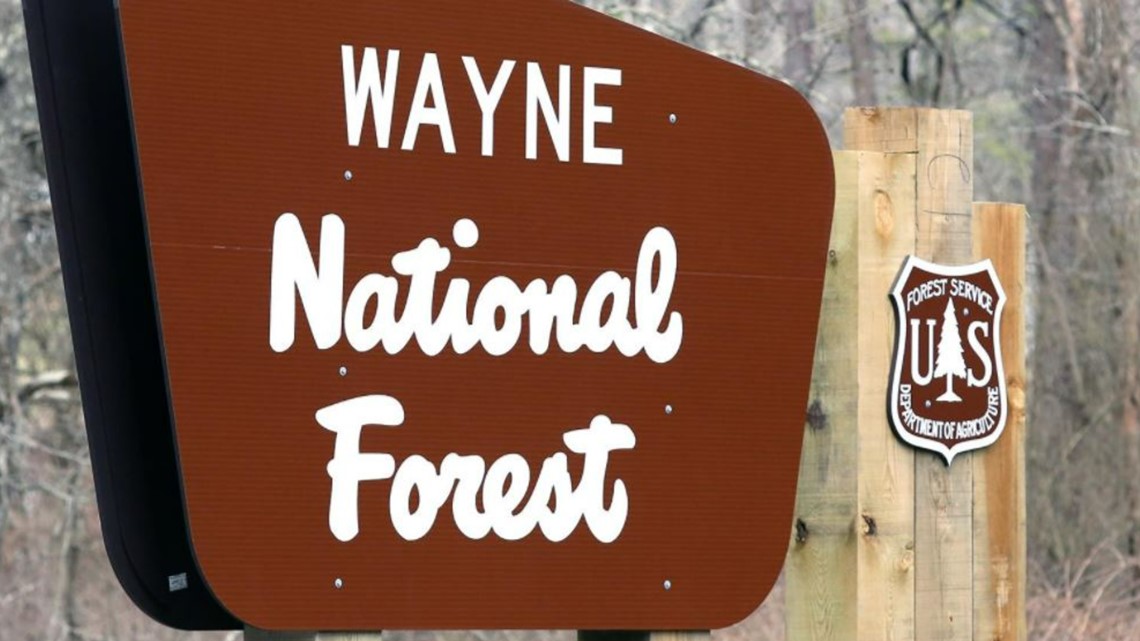 Man admits to setting 24 fires at southern Ohio national forest - Vimarsana News