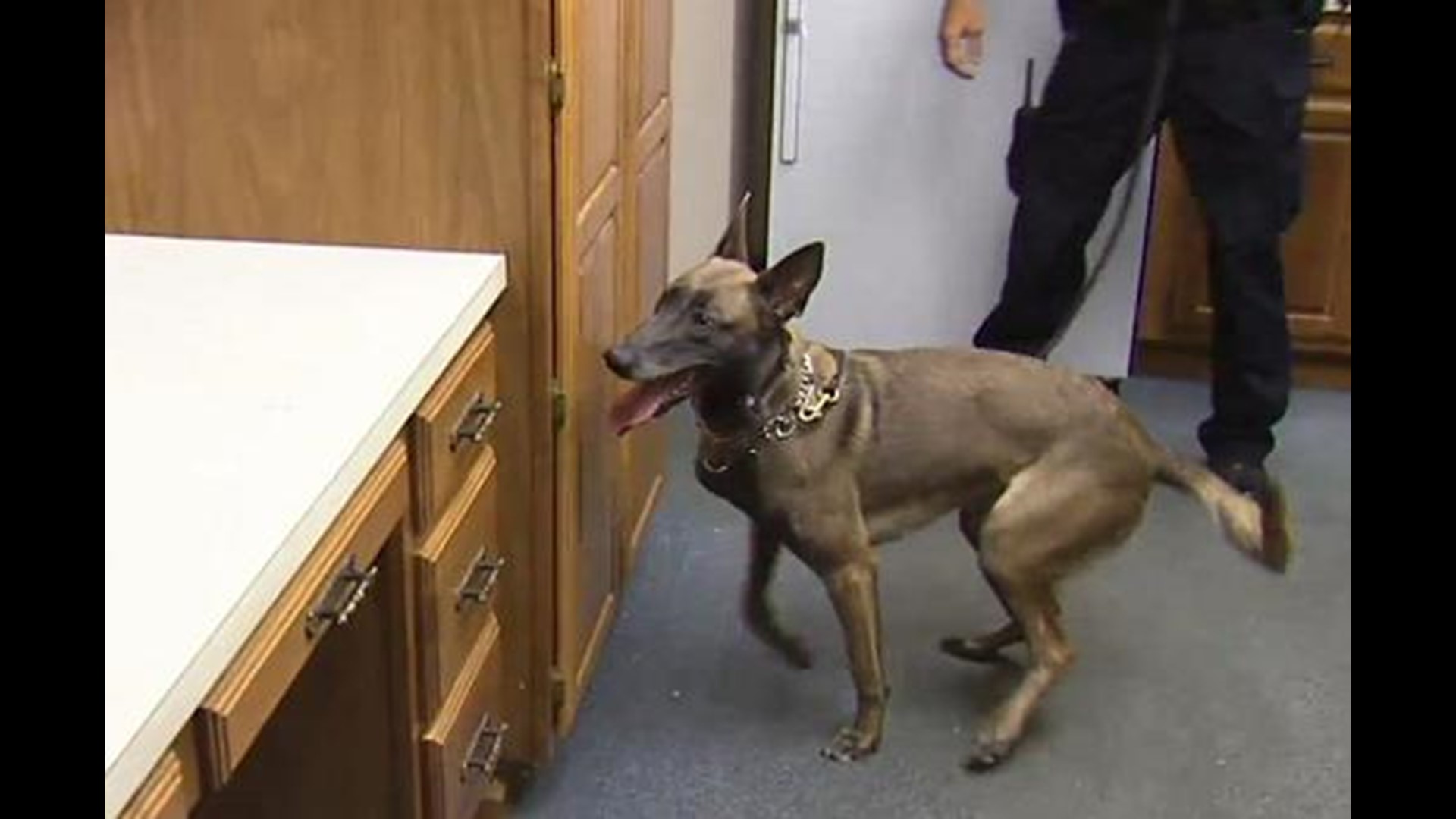 New K9 Officer A First For Westerville Police