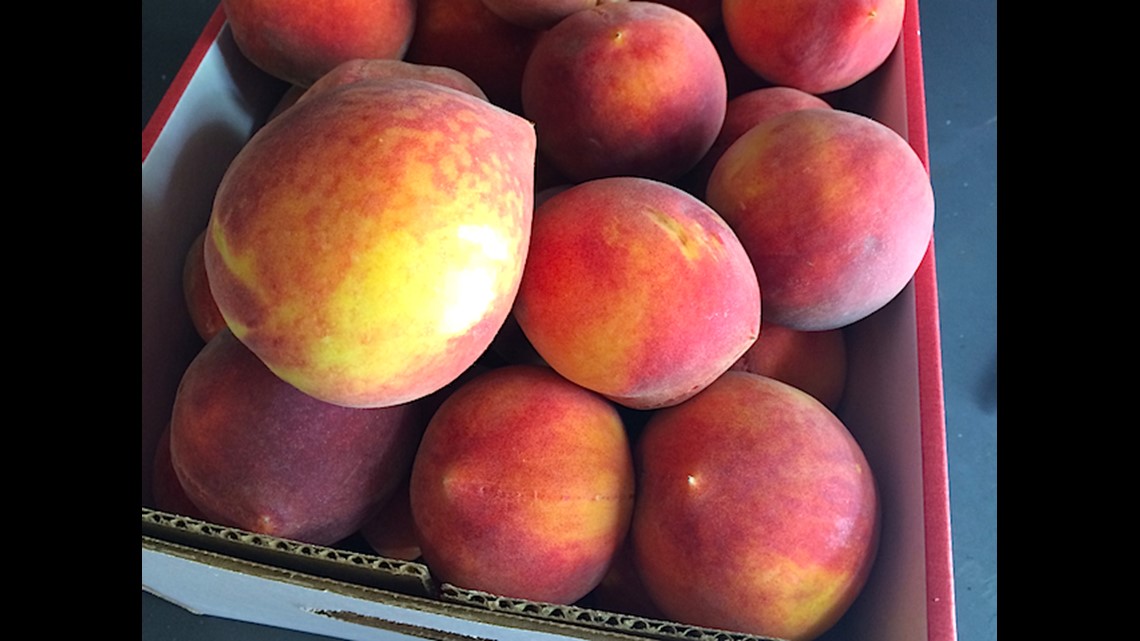 Ohio Peach Crop Devastated By Long Winter