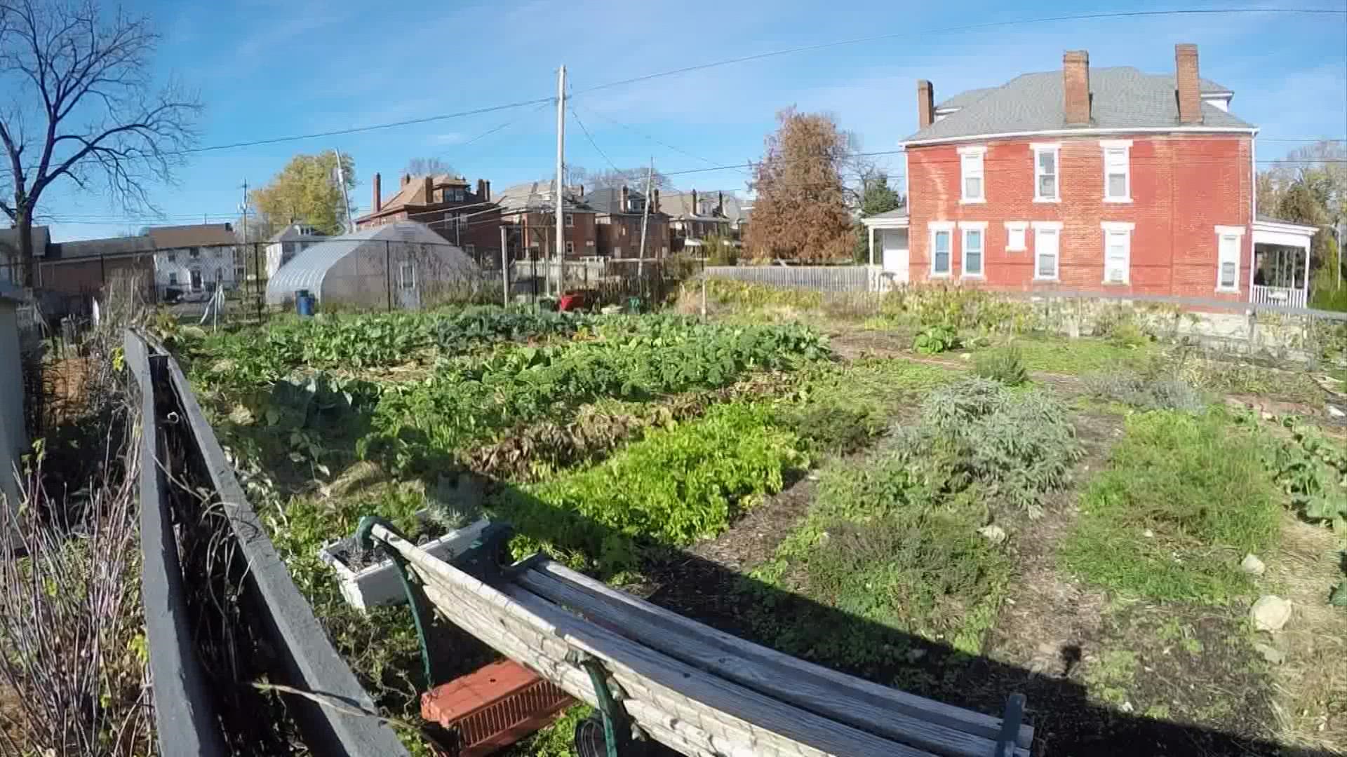 There are 16 community gardens currently on Columbus’ Near East and East side.